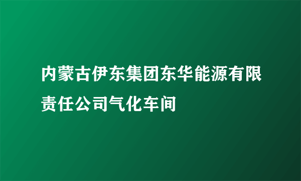 内蒙古伊东集团东华能源有限责任公司气化车间