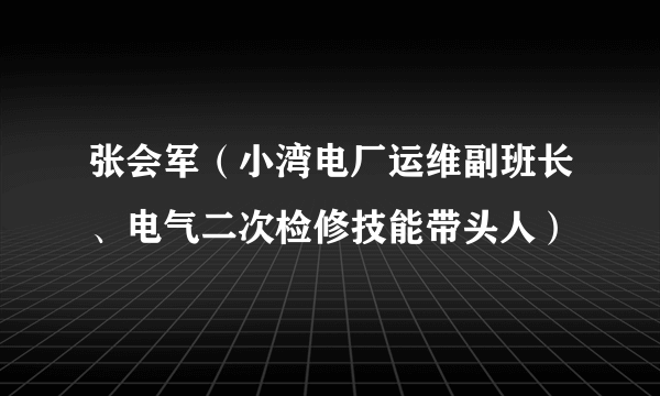 张会军（小湾电厂运维副班长、电气二次检修技能带头人）