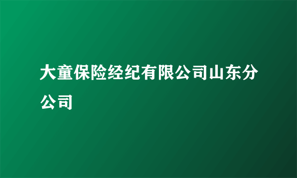 大童保险经纪有限公司山东分公司