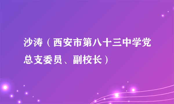 沙涛（西安市第八十三中学党总支委员、副校长）