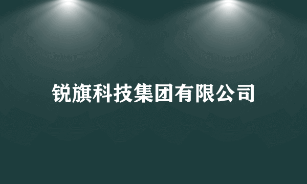 锐旗科技集团有限公司