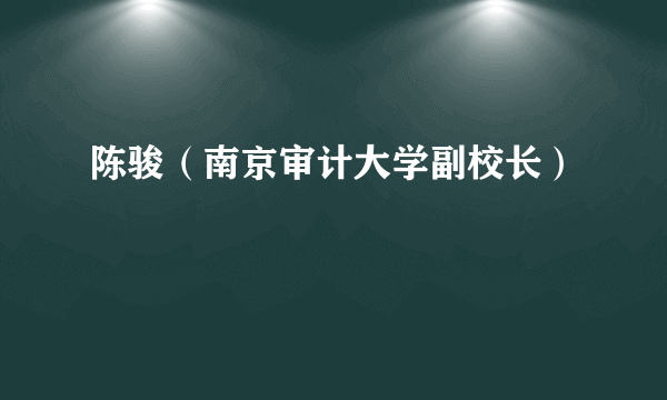 陈骏（南京审计大学副校长）