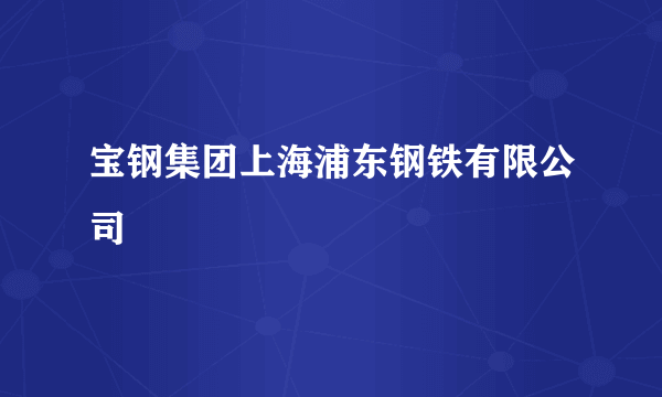 宝钢集团上海浦东钢铁有限公司