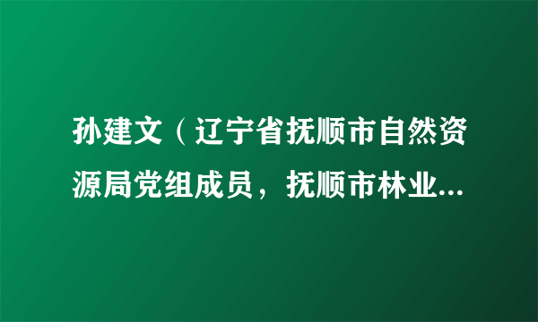 孙建文（辽宁省抚顺市自然资源局党组成员，抚顺市林业和草原发展服务中心主任、正高级工程师）