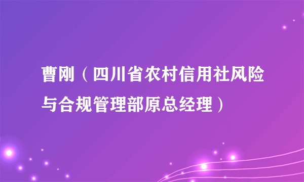 曹刚（四川省农村信用社风险与合规管理部原总经理）