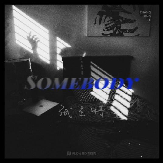 somebody（张星特演唱歌曲）