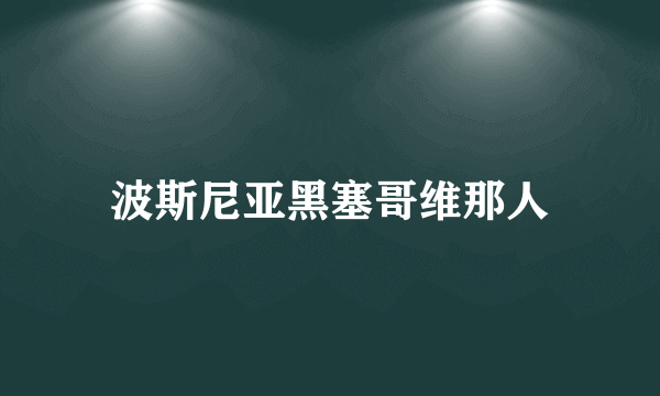 波斯尼亚黑塞哥维那人