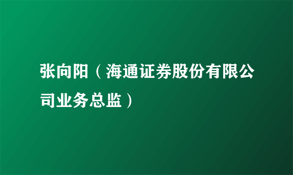 张向阳（海通证券股份有限公司业务总监）