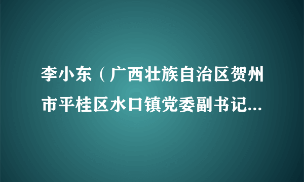 李小东（广西壮族自治区贺州市平桂区水口镇党委副书记、镇长）