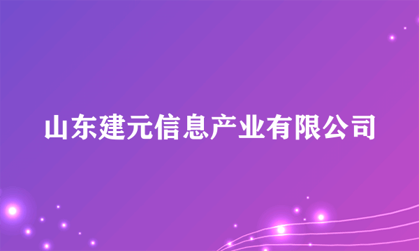 山东建元信息产业有限公司