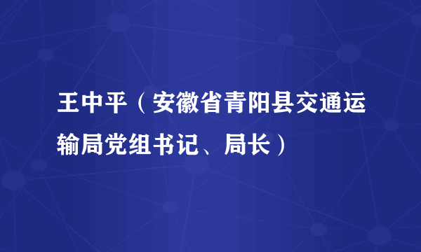 王中平（安徽省青阳县交通运输局党组书记、局长）