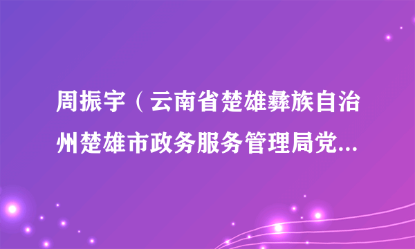 周振宇（云南省楚雄彝族自治州楚雄市政务服务管理局党组成员、副局长）