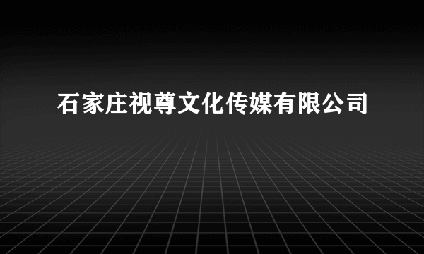 石家庄视尊文化传媒有限公司