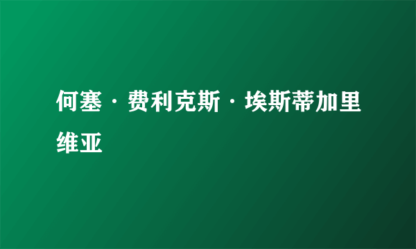 何塞·费利克斯·埃斯蒂加里维亚