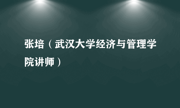 张培（武汉大学经济与管理学院讲师）