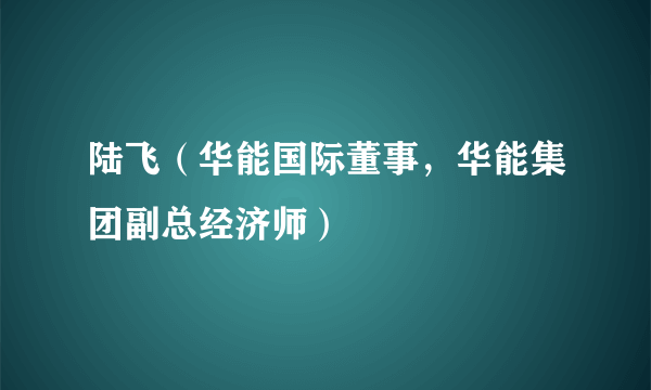 陆飞（华能国际董事，华能集团副总经济师）