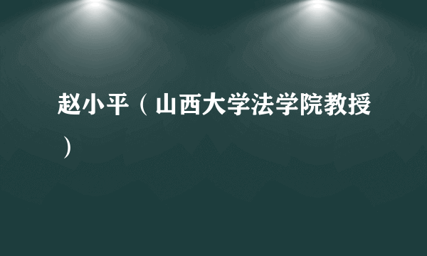 赵小平（山西大学法学院教授）