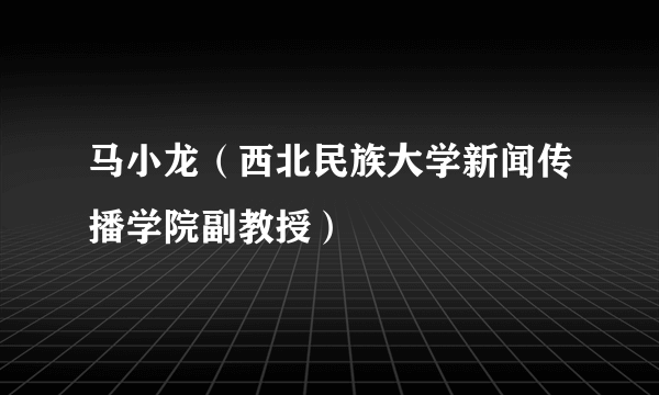 马小龙（西北民族大学新闻传播学院副教授）