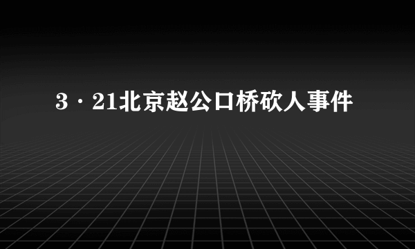 3·21北京赵公口桥砍人事件