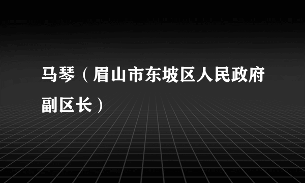 马琴（眉山市东坡区人民政府副区长）