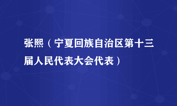 张熙（宁夏回族自治区第十三届人民代表大会代表）