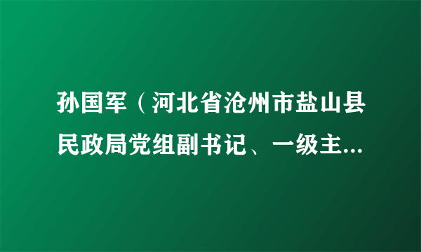 孙国军（河北省沧州市盐山县民政局党组副书记、一级主任科员、兼民政事业服务中心主任）