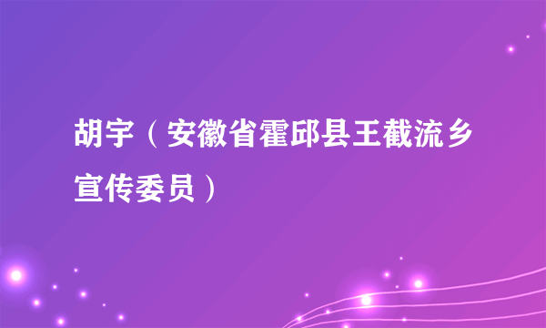 胡宇（安徽省霍邱县王截流乡宣传委员）