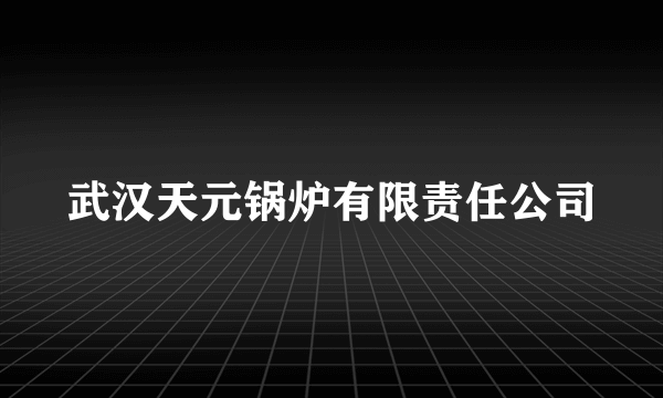 武汉天元锅炉有限责任公司