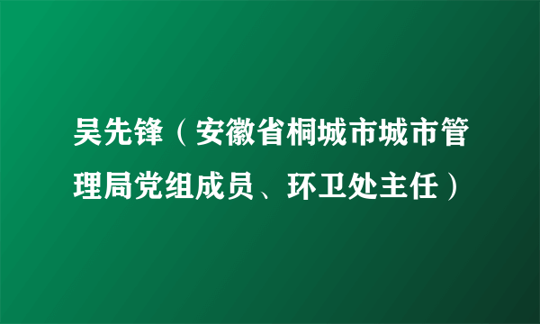 吴先锋（安徽省桐城市城市管理局党组成员、环卫处主任）