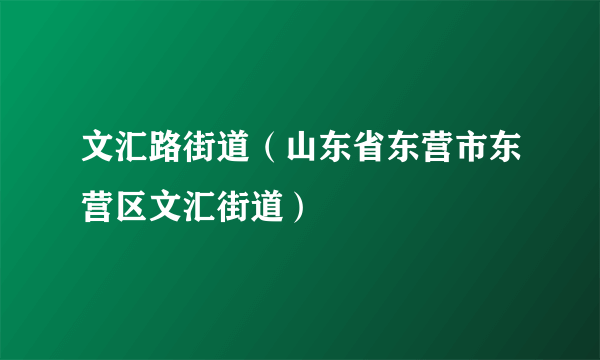 文汇路街道（山东省东营市东营区文汇街道）