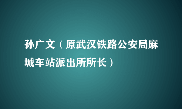 孙广文（原武汉铁路公安局麻城车站派出所所长）