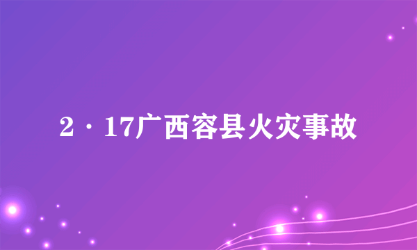 2·17广西容县火灾事故