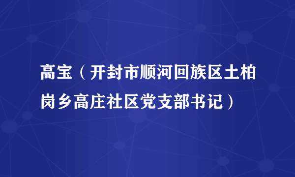 高宝（开封市顺河回族区土柏岗乡高庄社区党支部书记）