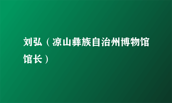 刘弘（凉山彝族自治州博物馆馆长）