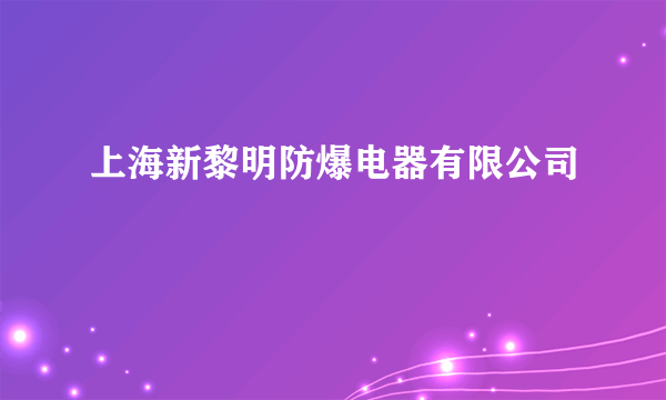 上海新黎明防爆电器有限公司