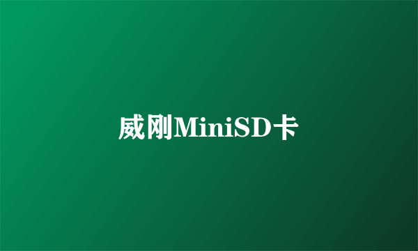 威刚MiniSD卡