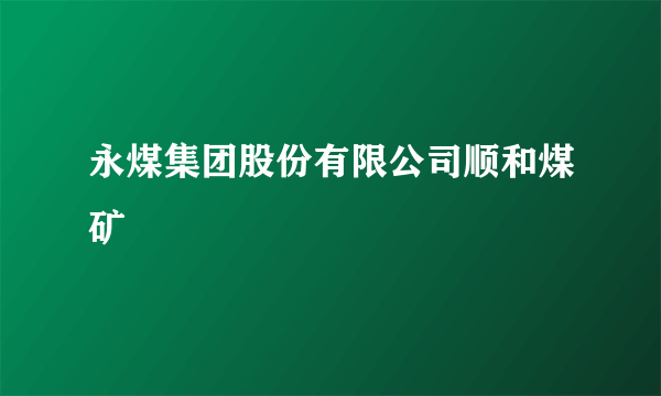 永煤集团股份有限公司顺和煤矿