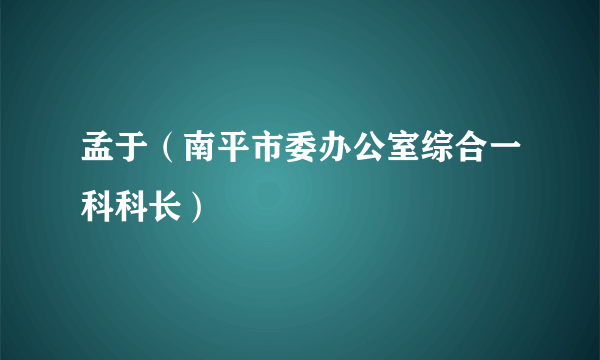 孟于（南平市委办公室综合一科科长）