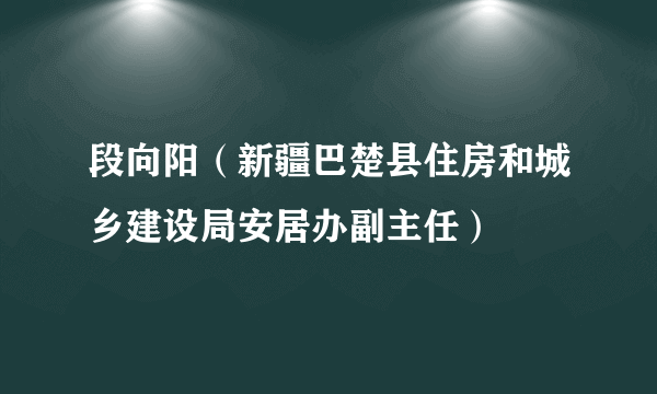 段向阳（新疆巴楚县住房和城乡建设局安居办副主任）