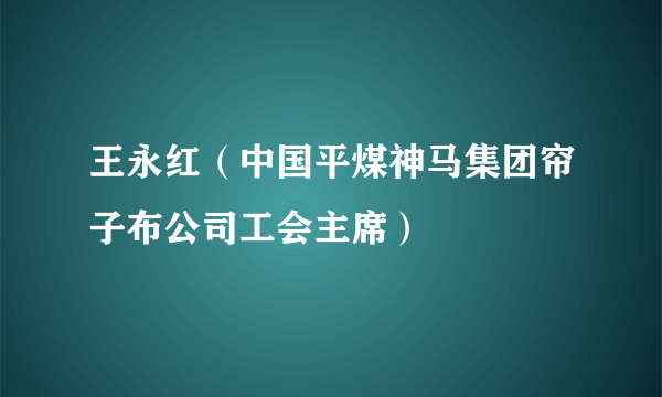 王永红（中国平煤神马集团帘子布公司工会主席）