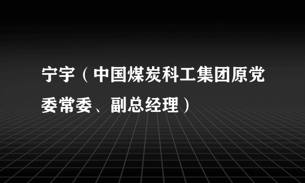 宁宇（中国煤炭科工集团原党委常委、副总经理）