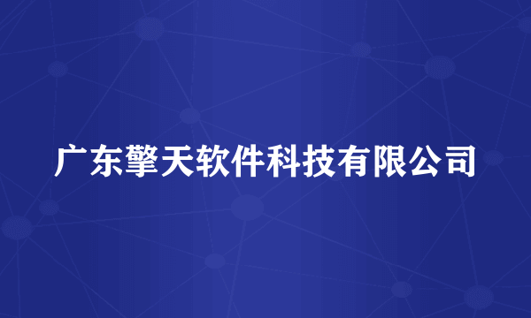 广东擎天软件科技有限公司