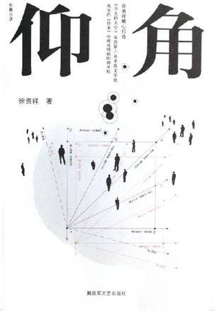 仰角（2006年解放军文艺出版社出版的图书）