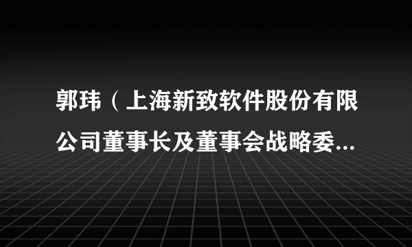 郭玮（上海新致软件股份有限公司董事长及董事会战略委员会主任委员）