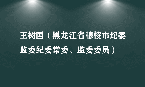 王树国（黑龙江省穆棱市纪委监委纪委常委、监委委员）