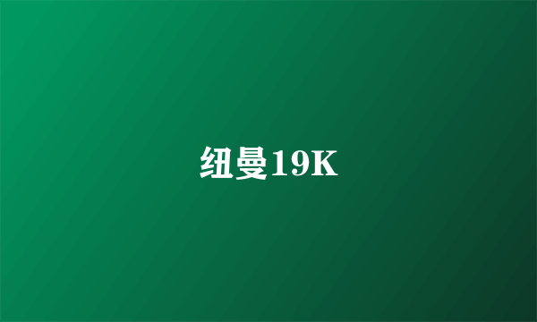 纽曼19K