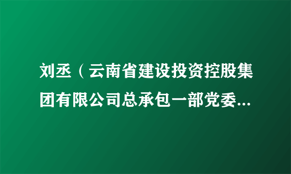 刘丞（云南省建设投资控股集团有限公司总承包一部党委委员、副总经理）