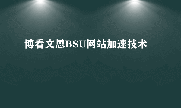 博看文思BSU网站加速技术