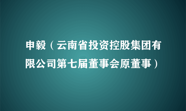 申毅（云南省投资控股集团有限公司第七届董事会原董事）