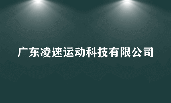 广东凌速运动科技有限公司